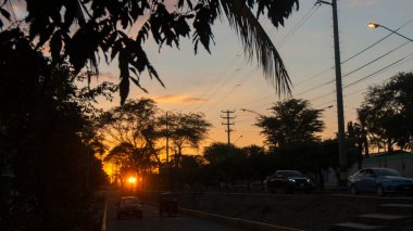 San Miguel de Piura, Piura / Peru - 5 Nisan 2019: Ağaçların arasında gizlenen güneş ve siyah silueti olan bir caddede gün batımı manzarası