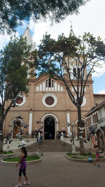 Inmaculada Concepción Loja Loja Ecuador Marzo 2019 Vista Frontal Iglesia —  Fotos de Stock