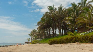Mancora, Piura / Peru - 8 Nisan 2019: İki kadın gün içinde palmiye ağaçlarıyla sahilde yürüyor