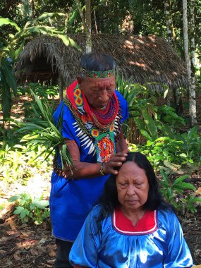 Nueva Loja, Sucumbios / Ekvador - 2 Eylül 2020: Amazondaki yağmur ormanlarında hasta bir kadına şifa verme ritüeli gerçekleştiren