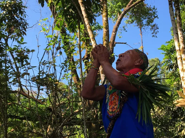 Nueva Loja Sucumbios Ecuador September 2020 Älterer Indigener Schamane Mit — Stockfoto
