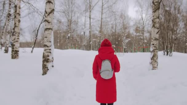 Frau geht allein in Winterlandschaft bei launischem Wetter Wandermädchen trägt rote Jacke mit Kapuze Spaziergang in verschneiter Landschaft — Stockvideo