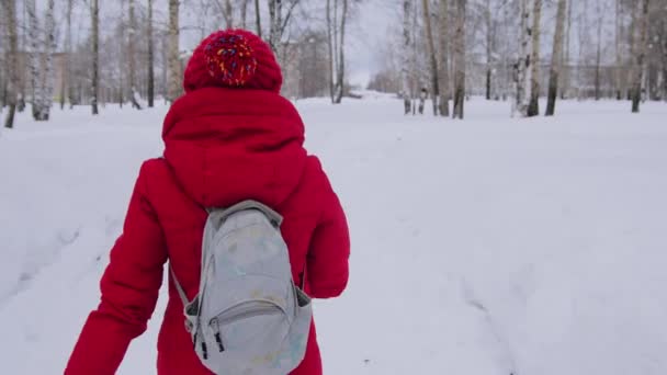 Woman walking alone in winter landscape in moody weather hiking girl wearing red jacket with hood walk in snowy landscape — Stock Video