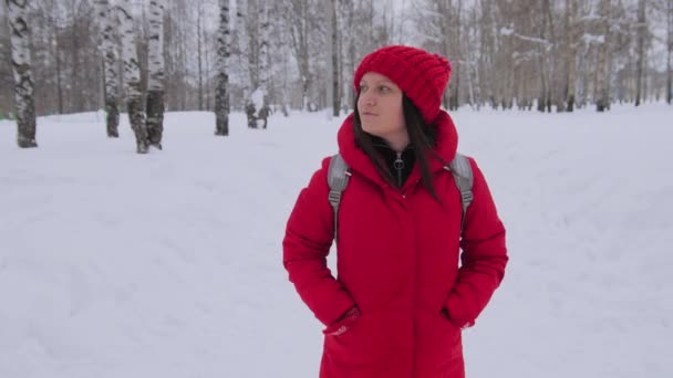 雪の風景にフード徒歩で赤いジャケットを着て不機嫌な天気ハイキング女の子の冬の風景で一人歩きの女性 — ストック動画