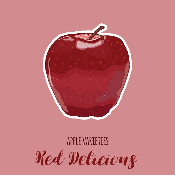 Couleurs Pleines Dessinées Main Variétés Pommes Colorées Fruits Délicieux Rouges — Image vectorielle