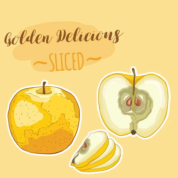 手绘五彩斑斓的现实黄色苹果金黄色美味果片套装 — 图库矢量图片