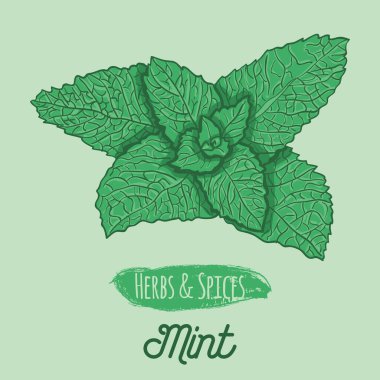 El yapımı Renkli Bitkiler ve Baharatlar