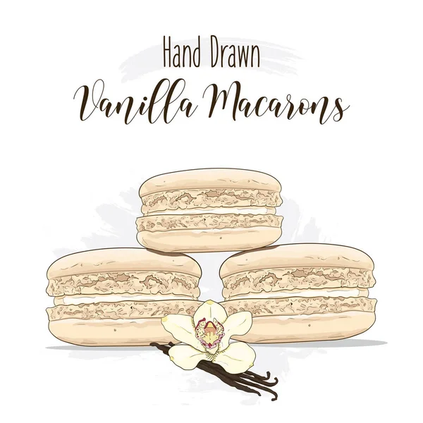 Ručně Kreslené Barevné Francouzské Macarons Vanilkovou Příchutí — Stockový vektor