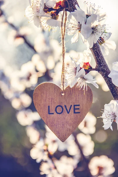 Branch of apricots with flowers. Flowers and heart. Wooden heart