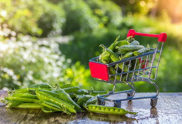 Green pea. Small grocery trolley. Green peas on natural background