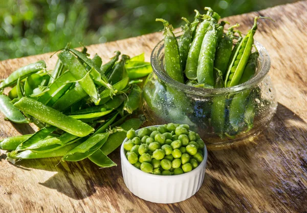 Peeled green peas. Organic Green Peas in White Bowl.