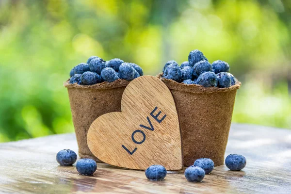 Blueberries in cup. Love to the berries. Fresh Organic Blueberries. Eco-friendly packaging