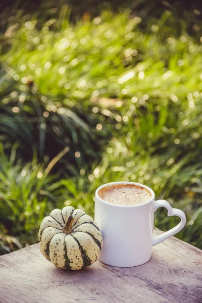 Cup of coffee in the garden. Coffee and pumpkin