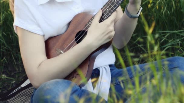日落时分 一个年轻漂亮的女孩坐在公园的草地上 在棕色的古乐上玩耍 女人玩古乐 — 图库视频影像