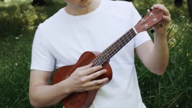 Parkta yakın çekim de ukulele oynamak. Adam ukulele çalıyor. Adam iplere dokunuyor. Bir enstrüman ile müzisyen. Kahverengi ukulele.