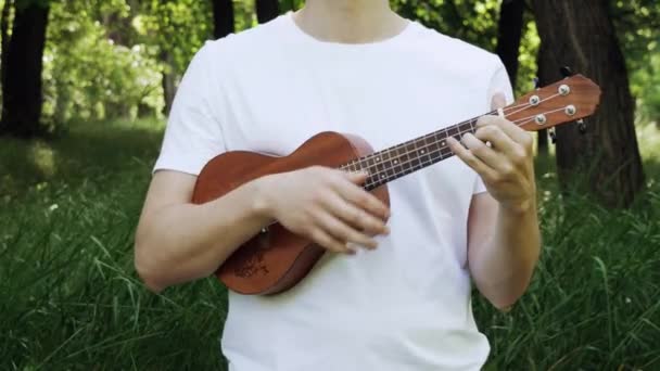 Playing Ukulele Park Close Guy Plays Ukulele Man Touches Strings — Stock Video