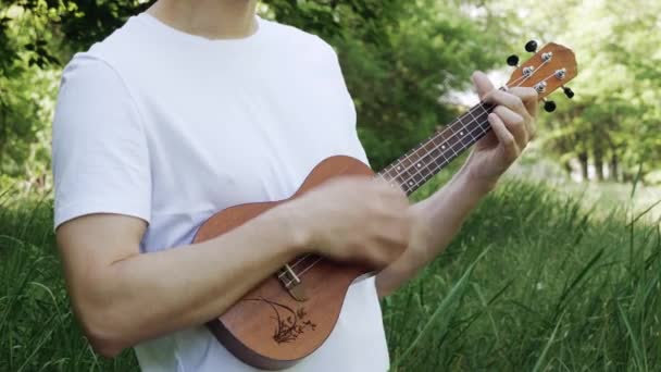 Spela Ukulele Parken Närbild Killen Spelar Ukulele Mannen Vidrör Strängarna — Stockvideo