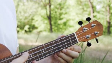 Adam elleri ukulele mandallarını atomaya çevirir. Müzisyen Tuning Akorları Onun Enstrüman Yakın parkta. 