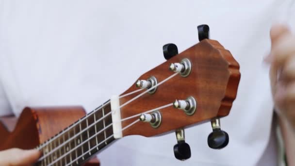 Man Hands Turns Ukulele Pegs Tuning Musician Tuning Chords His — Stock Video