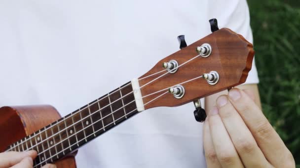 Man Hands Turns Ukulele Pegs Tuning Musician Tuning Chords His — Stock Video