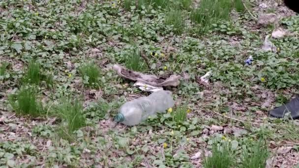 Volontär Samla Skräp Plastpåsar Koncept Närbild — Stockvideo