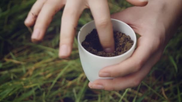 花屋は庭で多肉植物を移植し 白い鍋クローズアップで小さなサボテンを移植します サボテンの移植サボテンを移植するプロセス 土壌準備 — ストック動画