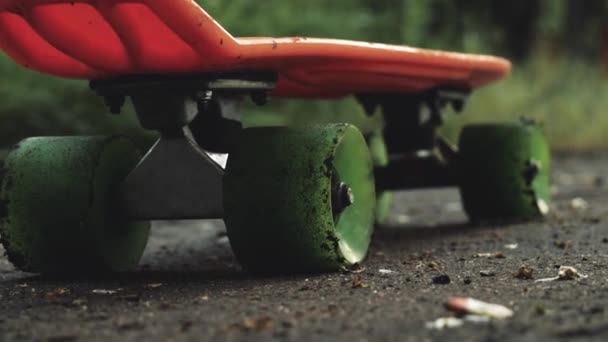 Close Homens Pernas Começam Andar Bordo Parque Verão Skater Menino — Vídeo de Stock