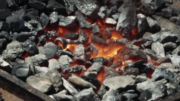 炎の鍛冶屋で石炭鍛造で加熱されているホットメタルバーのクローズアップ 金属部品は炉内で加熱され 鍛冶屋のワークショップで鍛造のために準備されています — ストック動画