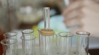Bir üniversite / okul laboratuvarında, pipet li bir öğrenci test tüplerinde bir sıvıanaliz eder. Kavram: araştırma, biyokimya, çalışma, kimyager