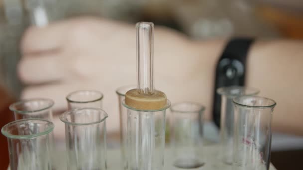 学校の研究室では ピペットを持つ学生が試験管内の液体を分析します 生化学 化学者 — ストック動画