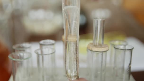 在大学 学校的实验室里 一个有移液器的学生分析试管中的液体 生物化学 化学家 — 图库视频影像
