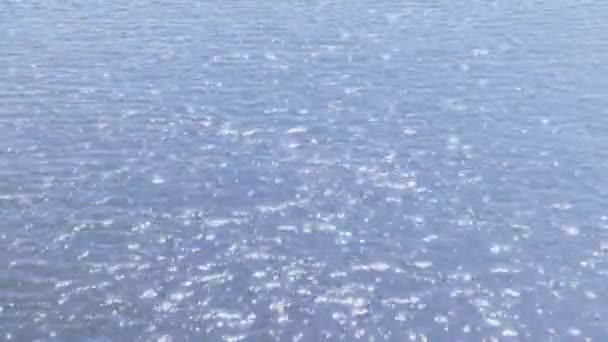 Shimmering Small Sea Waves Sun Defocused Shot Wavy Water Surface — Stock Video