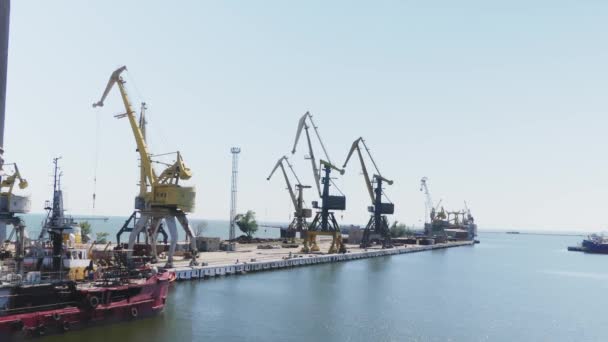 Hafenkräne Handelshafenstahl Einem Sommertag Stadtlandschaft Frachtschiff Hafen Bau Des Schiffes — Stockvideo