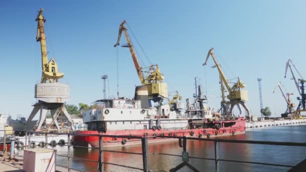 Grues Portuaires Maritimes Acier Port Commercial Dans Journée Été Paysage — Video