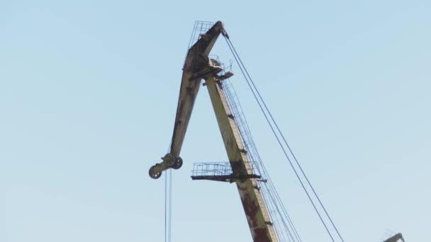 Grues Portuaires Maritimes Acier Port Commercial Dans Journée Été Paysage — Video