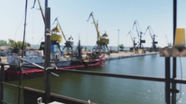 Zeehaven Kranen Commercial Port Steel Zomerdag Stedelijk Landschap Vrachtschip Haven — Stockvideo