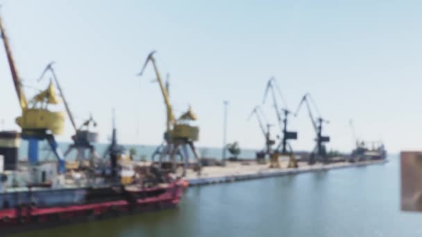 Zeehaven Kranen Commercial Port Steel Zomerdag Stedelijk Landschap Vrachtschip Haven — Stockvideo