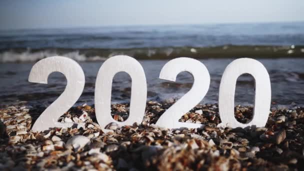 Έτος 2020 Αριθμοί Μια Άμμο Ανάμεσα Πέτρες Και Κελύφη Ένα — Αρχείο Βίντεο