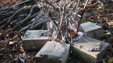 Bir sopa yanan bir kamp ateşine konur. Ormanda alacakaranlıkta yanan bir kamp ateşinin orta ölçekli görüntüsü. Kapat.. 