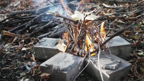 Stick Placed Burning Campfire Medium Shot Campfire Burning Woods Dusk — Stock Video