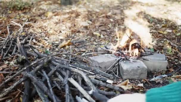 Chiudere Falò Fiamme Fuoco Campeggio Bruciare Legna Crepuscolo Nella Foresta — Video Stock