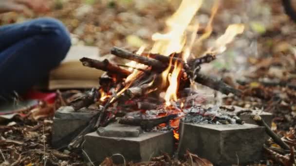 棒を燃焼キャンプファイヤーに配置されます 森の中の夕暮れ時に森の中で燃えるキャンプファイヤーの中のショット 閉じろ — ストック動画