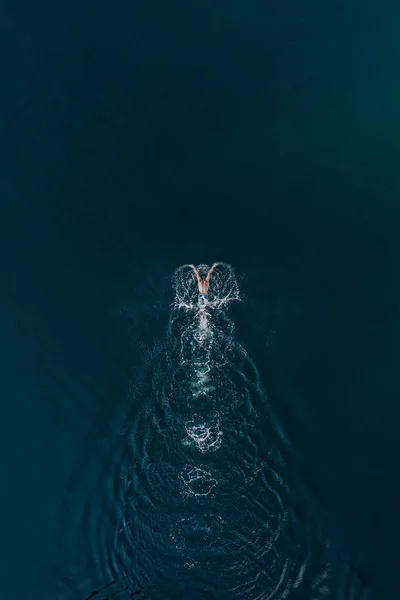 Aerial view of professional swimmer diving swimming in sea. Overhead view of sportsman diving in blue water. Aerial top view of man in water in motion