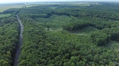 Ormanın içinden geçen bir otoyolun havadan görüntüsü. Doğa ormanında insan ayak izi. İnsanın doğa üzerindeki antropojenik etkisi. Dünya 'yı korumak ve gezegen kavramını kurtarmak.. 