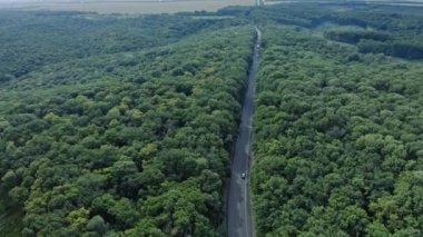 Ormanda bir otobanın havadan çekilmiş görüntüsü. Doğa ormanında insan ayak izi. İnsanın doğa üzerindeki antropojenik etkisi. Dünya 'yı korumak ve gezegen kavramını kurtarmak..