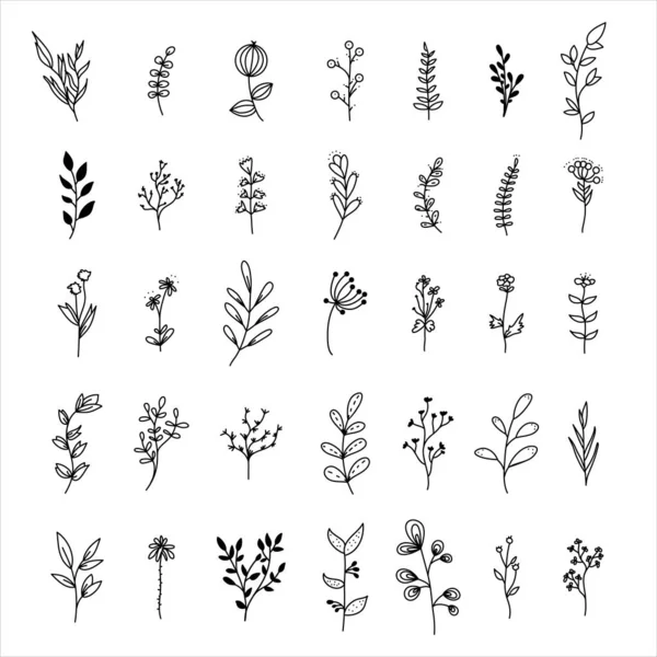 Doodle Conjunto Elementos Florais Folhas Desenhadas Mão Isoladas Sobre Fundo —  Vetores de Stock