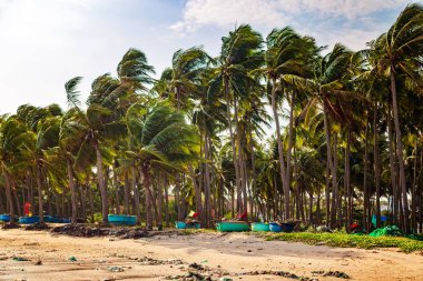 Muine, Vietnam - 18 Temmuz 2019 - Güney Çin denizi. Palmiye ağaçları, bo