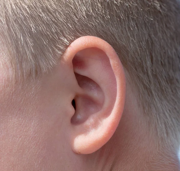 Teen boy macro close up ears — Stock Photo, Image