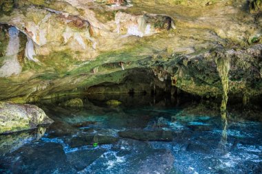 Cenote Meksika Mağarası. Yucatan