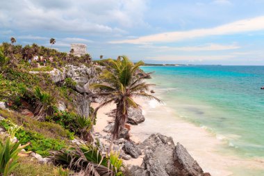 Palmiye ağaçları, deniz, güneş, plaj. Karayip denizi, Tulum, Yucatan. Mexi
